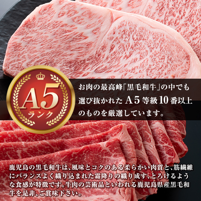 C-013 ＜Ａ５ランク＞黒毛和牛ステーキ計約500g(250g×2枚)※北海道・沖縄配送不可※【今肉屋】 国産 黒毛和牛 鹿児島県産 肉 牛肉 A5等級 サーロイン ステーキ肉 30000