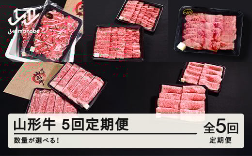 
            山形牛 5回 定期便  すき焼き  焼肉  肩ロース バラ切り落とし  カルビ モモ  tf-tkygx
          