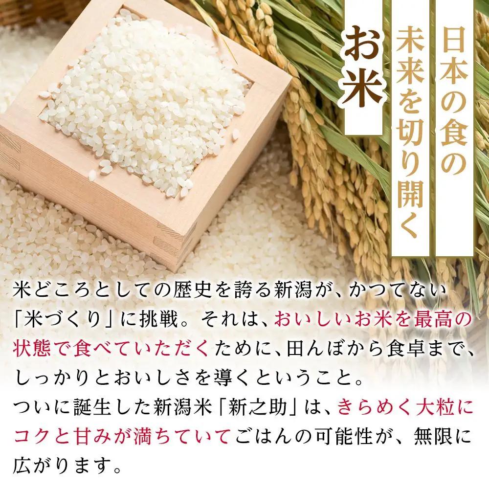 【パックごはん】新之助ごはん150g×24個 米 お米 コメ 新潟 新潟県 新之助 新潟ケンベイ