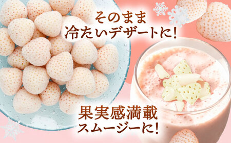 冷凍白いちご 1kg いちご 苺 イチゴ【配達不可：離島】 / くぼ苺農園[AECJ028]