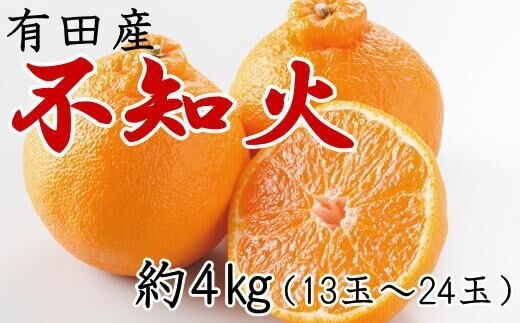 
										
										【濃厚】有田の不知火約4kg（13～24玉）★2025年2月上旬頃より順次発送
									