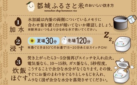 都城ふるさと米(ひのひかり)無洗米5kg_12-9005_(都城市) 都城産 ひのひかり 無洗米 5kg