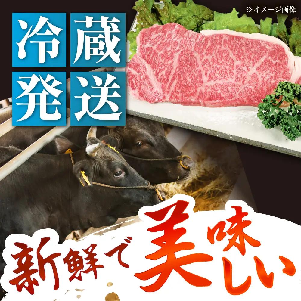 飛騨牛 A5 サーロイン 200g / 恵那市 / 東美濃農業協同組合 [AUFX010]