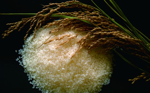 令和8年産米 花巻 ひとめぼれ 4kg（2kg×2袋） 【2446】