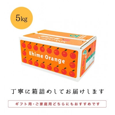 【南国を感じさせる独特の香り】愛媛ポンカン 5kg【D20−53】【1595883】