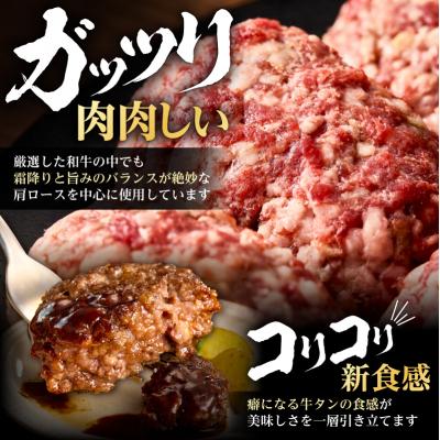 ふるさと納税 川崎市 和牛×牛タン 生ハンバーグ 合計1kg(10個×100g)【順次発送】 |  | 01