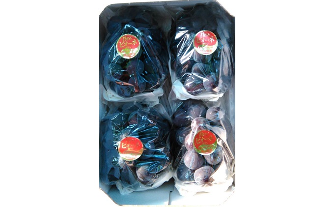 ぶどう 2024年 先行予約 ニュー ピオーネ 約1.8kg 3～5房 減農薬栽培 ブドウ 葡萄 岡山県産 国産 フルーツ 果物 ギフト ばんの農園