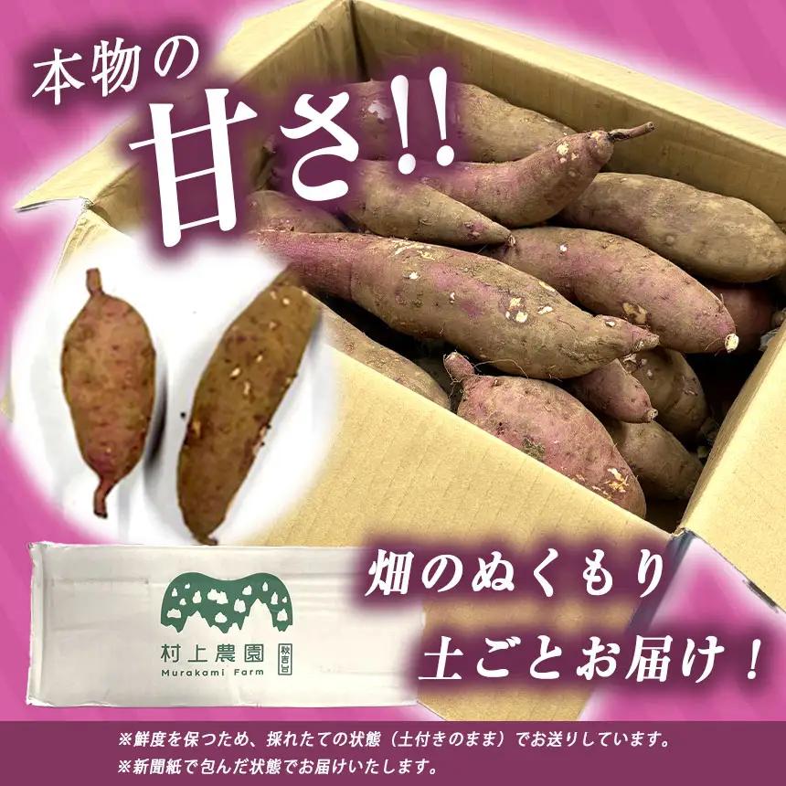 さつまいも TVで紹介！ 【 アフター保証 】甘くておいしい！ 紅はるか 5kg