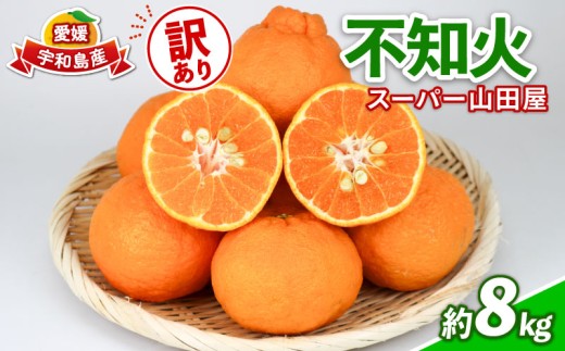 みかん 訳あり 不知火 ( デコポン と同品種) 約 8kg スーパー山田屋 先行予約 しらぬい 甘い 果物 くだもの フルーツ 柑橘 mikan 蜜柑 愛媛蜜柑 愛媛みかん わけあり サイズ 不揃い 産地直送 数量限定 国産 愛媛 宇和島 B016-198010