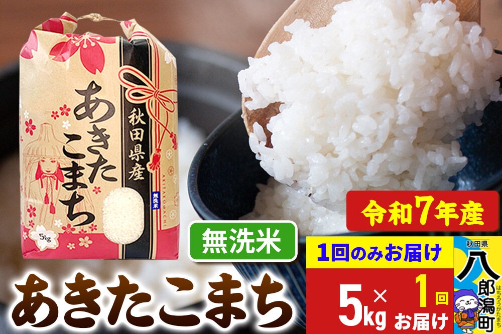 
                  あきたこまち 5kg【無洗米】令和7年産 秋田県産 こまちライン [こまちライン あきたこまち ブランド米 お米 白米 精米 無洗米 米どころ 秋田 秋田県産]
                
