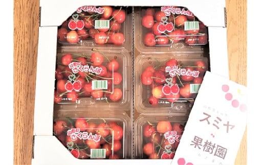 さくらんぼ（紅秀峰）１.２ｋｇ　ご家庭用　0047-2508