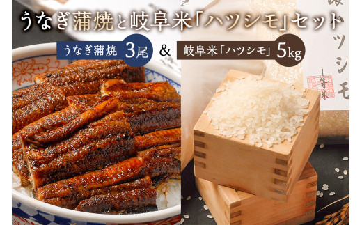 「炭かおる地焼き　うなぎ蒲焼（たれ付）3尾」と「2025年産米　岐阜米ハツシモ1等米5ｋｇ」 【セット 鰻 たれ たまり醤油 氷砂糖 継ぎ足し 炭火 米 白米 ごはん 自家精米】