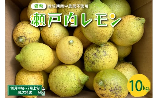 大崎下島産 栽培期間中農薬不使用 瀬戸内レモン 10kg　新鮮 発送日に収穫 国産 広島県産 檸檬 レモン生産量日本一の広島 フレッシュレモン 朝採れ 朝収穫 産地直送 送料無料 果物 フルーツ ジュース ビタミンC  料理 爽やか スイーツ カクテル