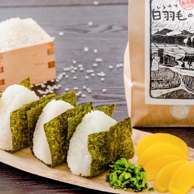 ふるさと納税 十日町市 【毎月定期便】農家直送!魚沼産コシヒカリ特別栽培 精米(5kg×2袋)全12回 |  | 01