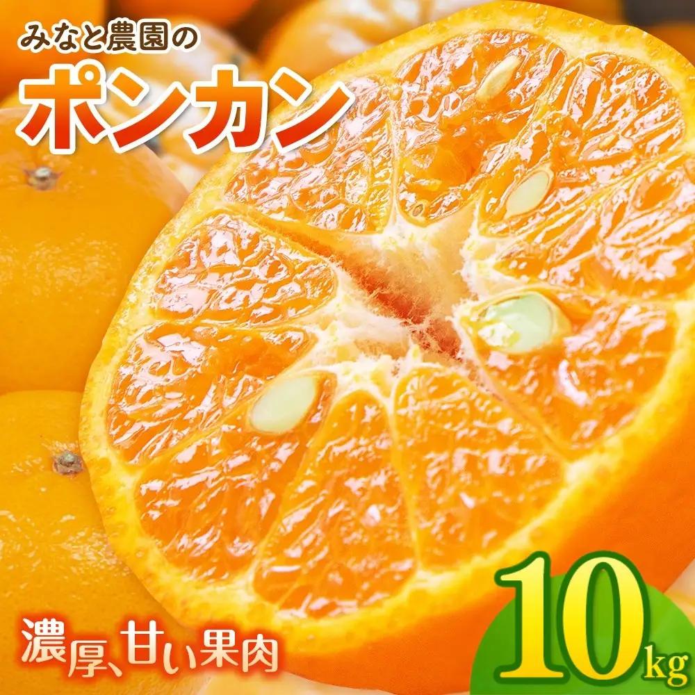 【先行予約】ポンカン みなと農園のポンカン 約10kg 【mntf0012】