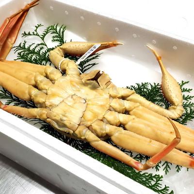 ふるさと納税 新温泉町 松葉ガニの本場より活〆茹でたてを即出荷　釜茹で松葉ガニ(冷蔵)　1枚　約800g |  | 01