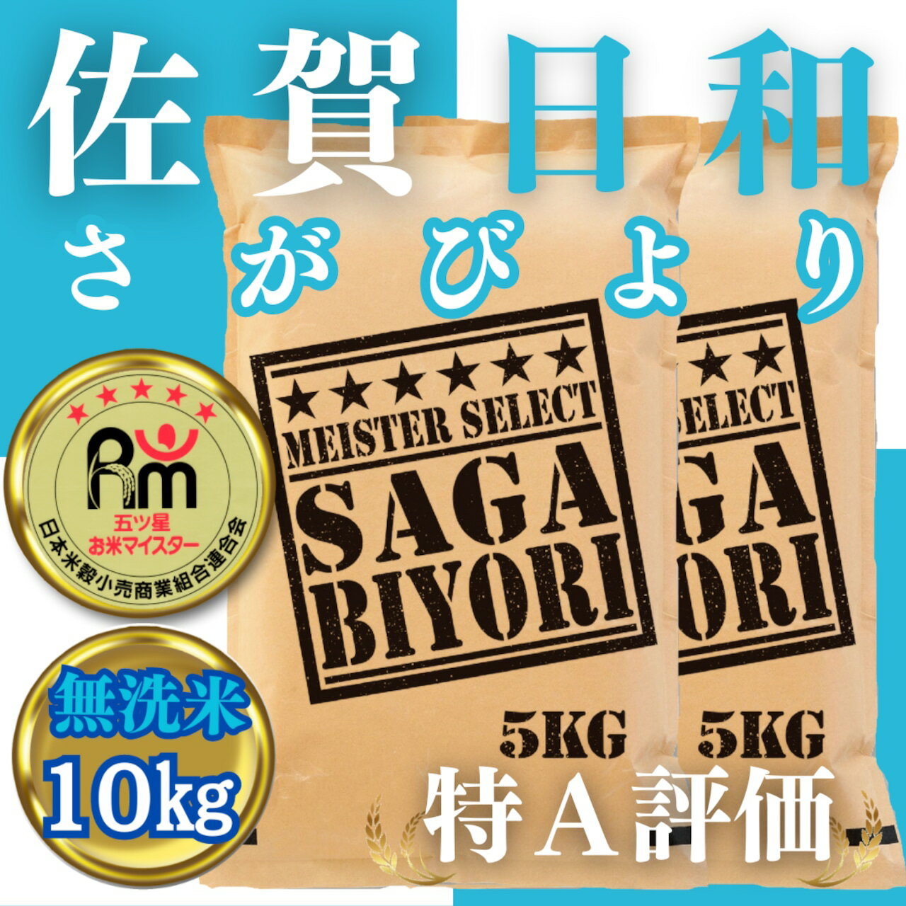 【ふるさと納税】無洗米さがびより10kg（CIB08）