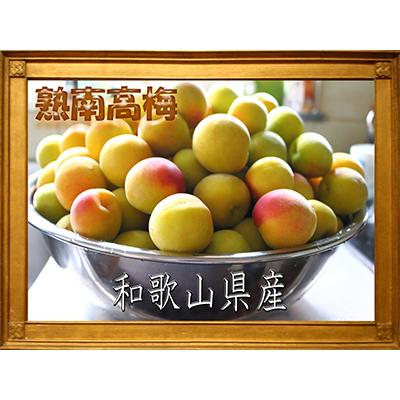 ふるさと納税 印南町 2027/6月より発送【梅干し・梅酒用】紀州和歌山の熟南高生梅3Lor2L-2kg