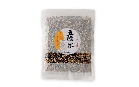 ヘルシー五穀米 250g×2袋  計500g 五穀米 雑穀米 雑穀 五穀 米 お米 黒米 押し麦 麦 もち麦 玄米 赤米 ブレンド 常温 お取り寄せ 国産 九州産 熊本県 湯前町