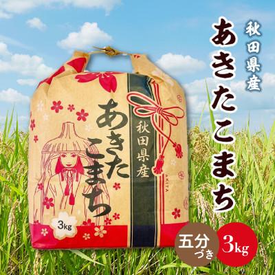 ふるさと納税 八郎潟町 あきたこまち 3kg×1袋【5分づき(精米)】令和7年産 秋田県産 こまちライン