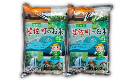 《令和7年産》山形県産 はえぬき 10kg F2Y-4586