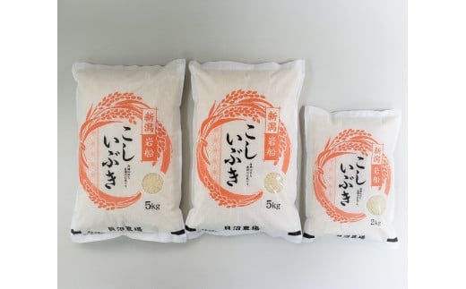 【令和7年産米】 こしいぶき 白米12kg（5kg×2、2kg×1） 新潟県村上市岩船産　1067104