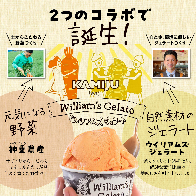 （お試し）【3種のフレーバーを食べ比べ!!】だいちとつながるジェラート3個セット 映えるデザインが可愛いと話題に!! マドンナキャロット 地元野菜 甘い アイス スイーツ デザート 洋菓子 可愛い 詰め合わせ キャロットミルク フルーツサラダ ピーナッツミルク 自慢 冷たい にんじん 人参 落花生 ピーナッツ 農家 神重農産 H105-216