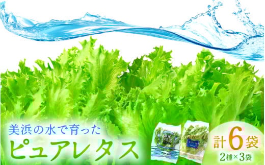 レタス6袋【農薬不使用】新鮮シャッキシャキレタス 低カリウムレタス&フリルレタス6個セット【野菜 生野菜 レタス サラダ サンドイッチ お弁当 水耕栽培 洗わず食べられる 時短 付け合わせ ダイエット ヘルシー】お買い物マラソン 買い回り [m40-a004]