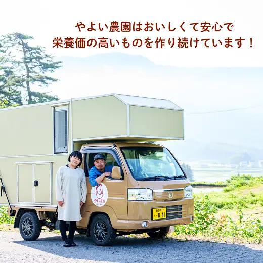 【米粉の濃厚 チーズケーキ】 こだわり 13㎝ホール  チーズケーキ （Aq-001） 
