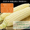 【ふるさと納税】2025年夏の予約受付開始！小林農園の白くて甘いとうもろこし『味甘ちゃんホワイト（みかんちゃんほわいと）』4kg（8～10本）/ 9本（18～20本）9月上旬～9月下旬出荷【長野県信濃町】