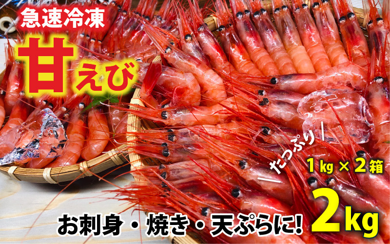 
あま～い！エビ！えび！海老！今夜はえび三昧！大漁2㎏！！ 1kg × 2箱 （計2kg） [A-4381]

