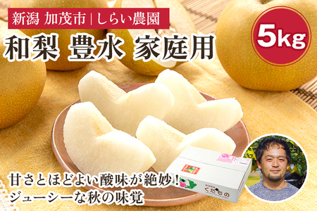 【2026年先行予約】しらい農園の和梨 豊水 家庭用5kg（8～18玉） 《9月中旬～順次発送》