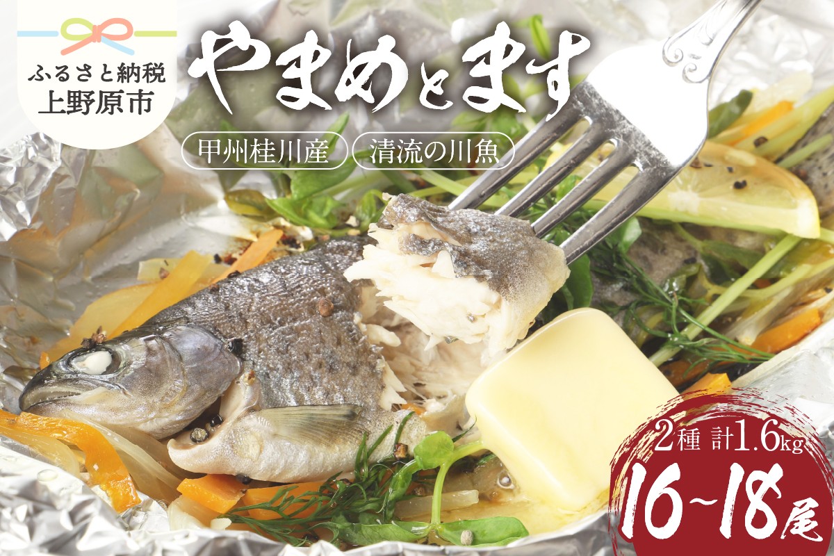 
                  【一級河川(魚)】甲州桂川のやまめ(約800g)とます(約800g)高級セット 各1箱 ます やまめ 魚 川魚 ギフト 和食 鮮魚 清流 塩焼き 甘露煮 贈答 贈り物 送料無料 ※沖縄県、離島不可 山梨県 上野原市
                