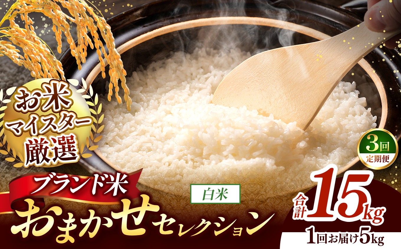 
                  【 令和7年産 】おまかせ セレクション 【定期便3回】熊本県産 白米  ＜ひのひかり / 森のくまさん / くまさんの輝き ＞ 5kg  | 単一銘柄 米 単一米 お米 こめ 小分け 人気 コメ お米 5kg 10kg 15kg 20kg 25kg 30kg 定期便 3回 6回 12回 ブランド米 菊池川流域 家庭用 送料無料 熊本 くまもと 熊本県 和水 和水町 人気 ごはん
                