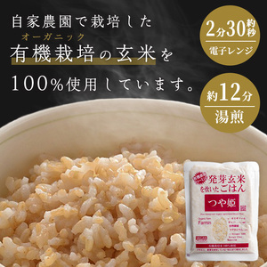 ＜3ヶ月定期便＞発芽玄米パックご飯 計48パック(16パック×3回) つや姫発芽玄米 発芽玄米 レンジ 有機栽培 パックご飯 パックごはん ご飯パック ごはんパック パックライス ご飯 米 レンチン 