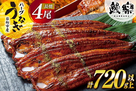 うなぎ 国産 蒲焼 4尾 計720g 以上 うなぎ