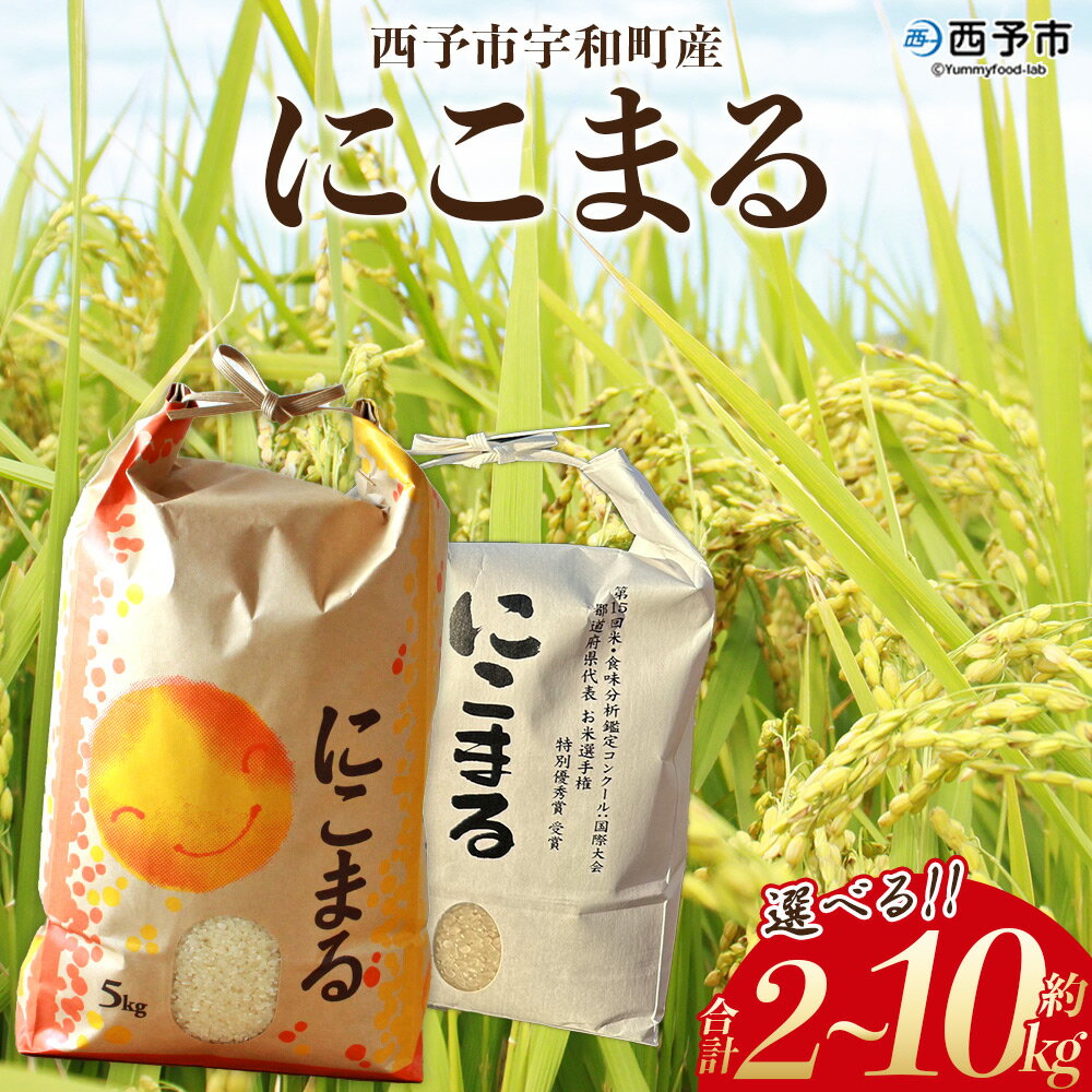 【ふるさと納税】新米＜令和7年産 西予市宇和町産 にこまる 約2kg/5kg/10kg＞ お米 コメ 白米 精米 単一原料米 ご飯 晩稲 大粒 精米 ご飯 ライス 穀物 ニコマル 特産品 愛媛県産 西予市産 宇和町産 三好フク 愛媛県 西予市【常温】『2025年10月中旬より順次出荷予定』