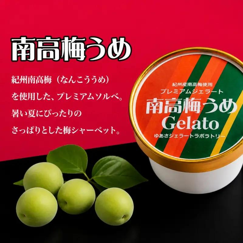 プレミアムジェラート 南高梅うめソルベ12個セット アイスクリームセット 100mlカップ ゆあさジェラートラボラトリー【kstb700-06】