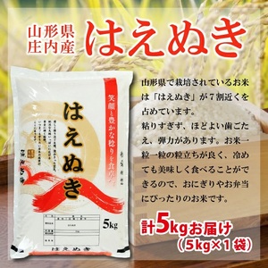 SA2944　令和7年産【精米】はえぬき　5kg×1袋 AK