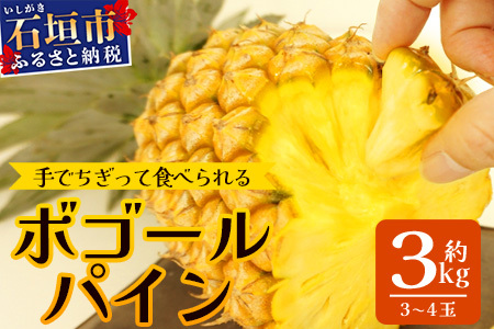 石垣島産 ボゴールパイン 3～4玉セット 約3㎏【産地直送 石垣島産 石垣 完熟 パイン パイナップル スナックパイン ボゴール 】TD-3