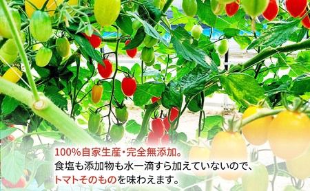 糖度平均9～10度！十勝 幕別産 ミニトマトジュース「自慢のトマトでつくりました。」黄180ml×6本［北海道ホープランド農場］食塩無添加【 トマト ミニトマト 飲料 野菜ジュース リコピン 北海道 