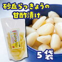 【ふるさと納税】砂丘らっきょう 甘酢漬 200g 5袋入り | 食品 発酵 加工食品 人気 おすすめ 送料無料