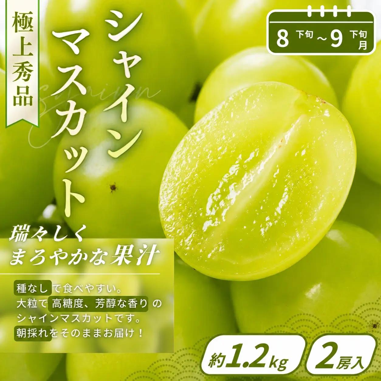 【フルーツ定期便・全4回】品質に自信あり！くしがきの里から直送　桃・シャインマスカット・はれひめ・まりひめを季節ごとにお届け♪ / 定期便 桃 もも みかん 柑橘 シャインマスカット マスカット いち