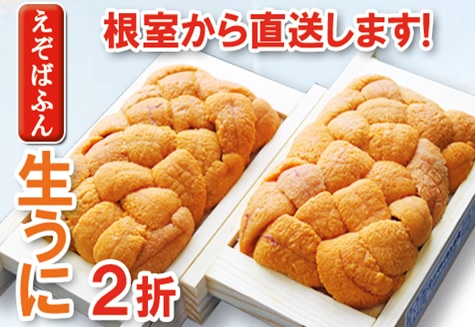 エゾバフンウニ60～70g×2折 A-71008