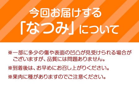 ＜先行予約＞初夏のみかん なつみ 約 3kg 株式会社 魚鶴商店 みかん 蜜柑