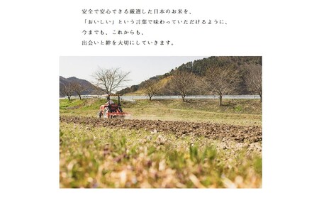 複数原料米 10kg 無洗米 ブレンド米 