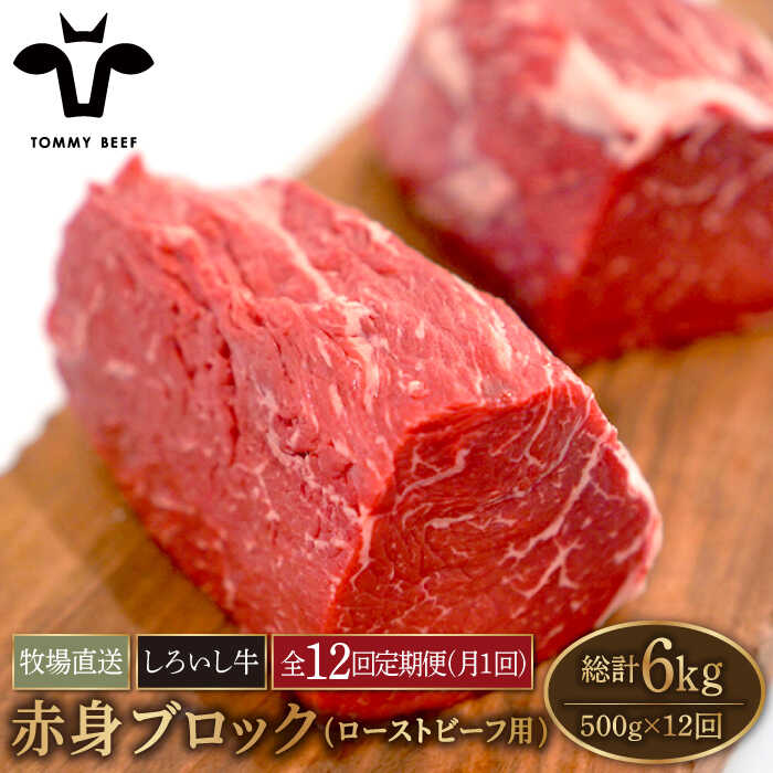 【ふるさと納税】【牧場直送】【12回定期便】佐賀県産しろいし牛 赤身ブロック（ローストビーフ用）計500g【有限会社佐賀セントラル牧場】お肉 肉 牛肉 冷凍 塊肉 塊 [IAH138]