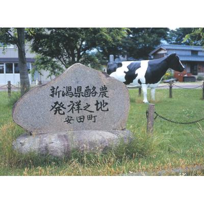 ふるさと納税 阿賀野市 【7ヶ月定期便】ヤスダヨーグルト 　150g×30本 |  | 03