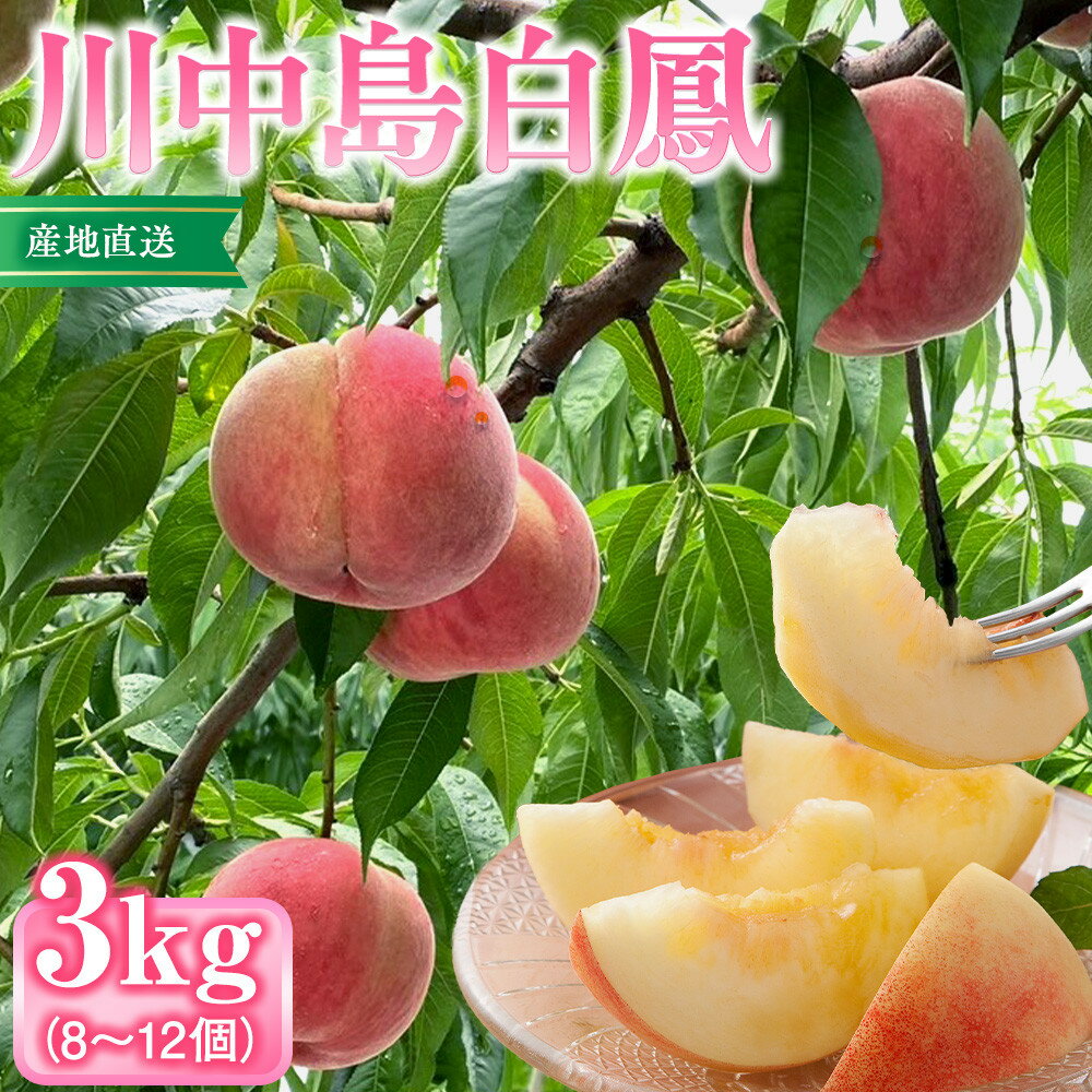 【ふるさと納税】前島農家　川中島白鳳約3kg（8個～12個） | 桃 フルーツ 果物 旬 人気 おすすめ ギフト プレゼント 送料無料 長野県 長野市 信州 信濃 ふるさと納税