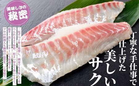 【2025年12月21日までのご入金で年内配送】瀬戸内「天然」真鯛 お刺身用 400g 柵でお届け（急速冷凍）便利な小分け 100gパック 【鯛 マダイ タイ 鯛めし 鯛茶漬け ブロック 海鮮 魚介 